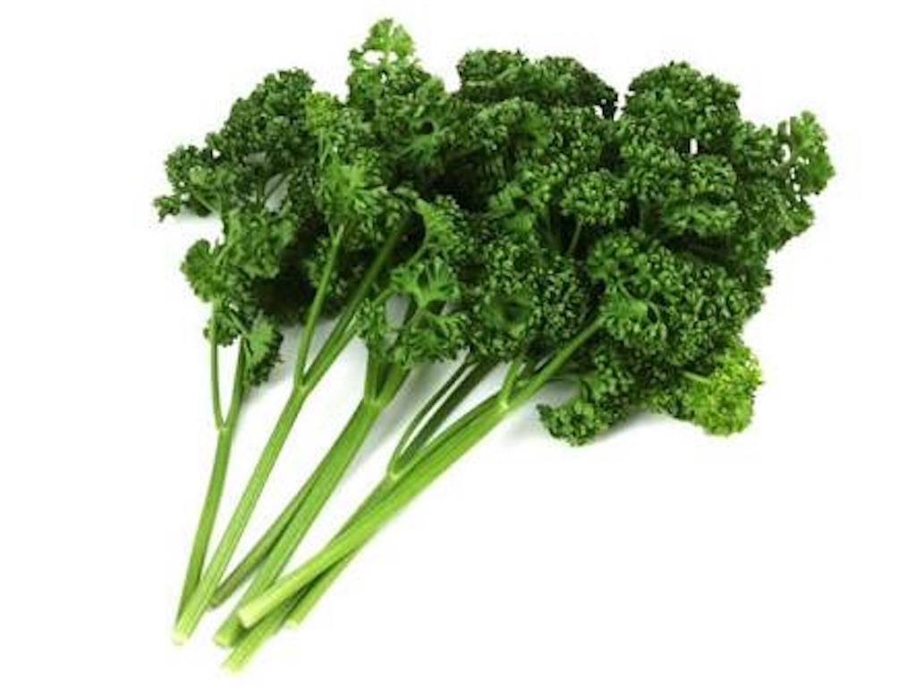 f:id:sabu10hs:20190111124503j:image