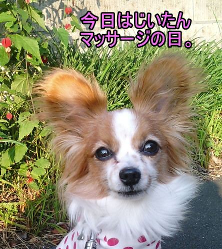 f:id:sabu36:20091108193957j:image f:id:sabu36:20091108193957j:image