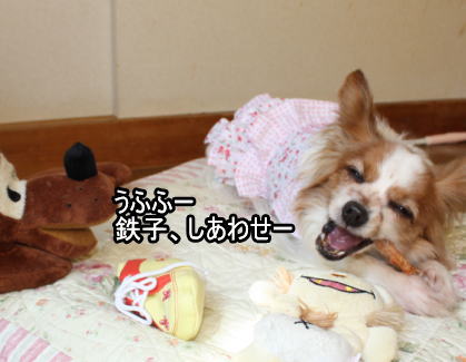 f:id:sabu36:20100314223052j:image