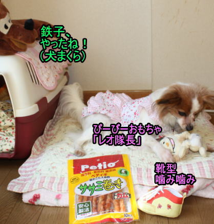 f:id:sabu36:20100314223054j:image