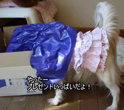 f:id:sabu36:20100314223055j:image