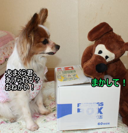 f:id:sabu36:20100314223056j:image