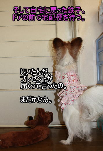 f:id:sabu36:20100314223057j:image