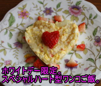 f:id:sabu36:20100314223102j:image