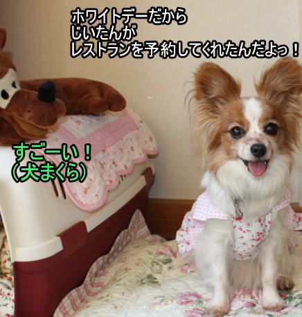 f:id:sabu36:20100314223105j:image