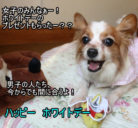 f:id:sabu36:20100314225345j:image