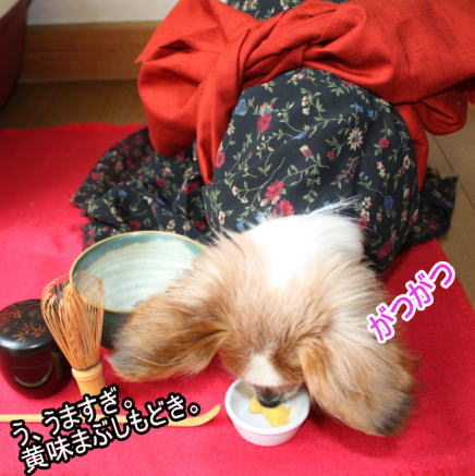 f:id:sabu36:20100315213328j:image