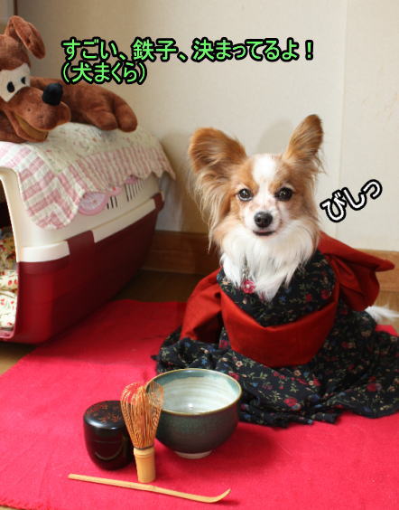 f:id:sabu36:20100315213332j:image