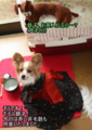 20100315213334