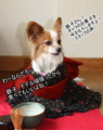 20100315213634