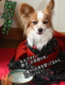 20100315215311