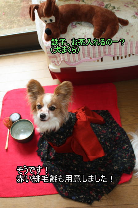 f:id:sabu36:20100316091154j:image