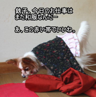 f:id:sabu36:20100316091253j:image