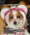 20100316212558