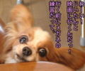 20100316212602