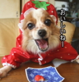 20100317214558