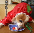 20100317214600