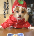20100317214603