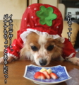 20100317214607