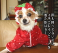 20100317214609