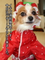 20100317214610