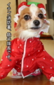 20100317214909