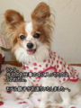 20100318213603