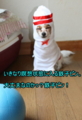 20100318213605