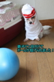 20100318213606