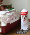 20100318213607