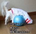 20100318213608