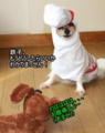 20100318213609