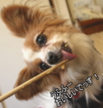 20100319221236