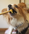 20100319221241