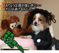 20100320084315