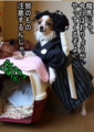 20100320084316