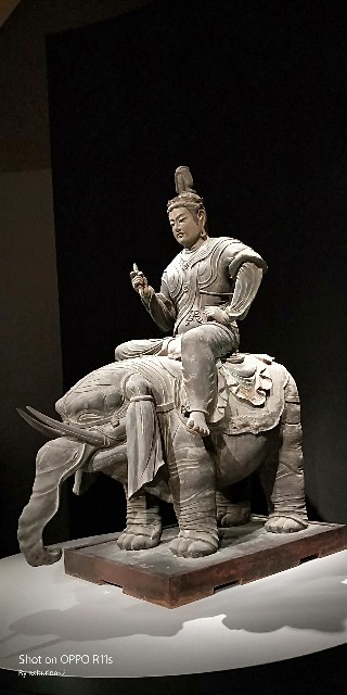 f:id:saburina2018:20190507013058j:image