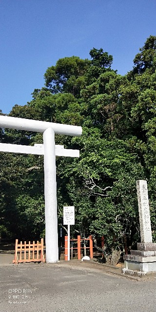 f:id:saburina2018:20190630011743j:image