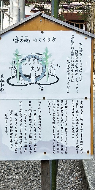 f:id:saburina2018:20190630011949j:image