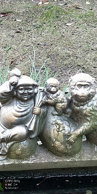 f:id:saburina2018:20190630012144j:image