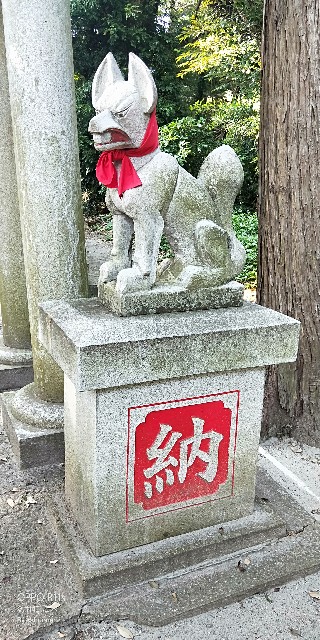 f:id:saburina2018:20190630012158j:image