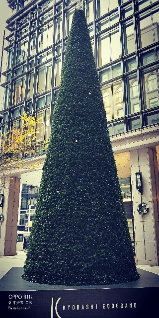 f:id:saburina2018:20191227204022j:image