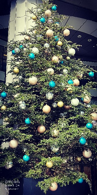 f:id:saburina2018:20191227204039j:image