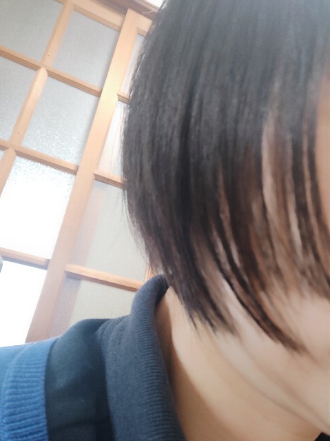 f:id:saburina2018:20210224010536j:image