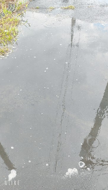 f:id:saburina2018:20210728191318j:image