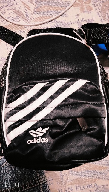 f:id:saburina2018:20211206113323j:image