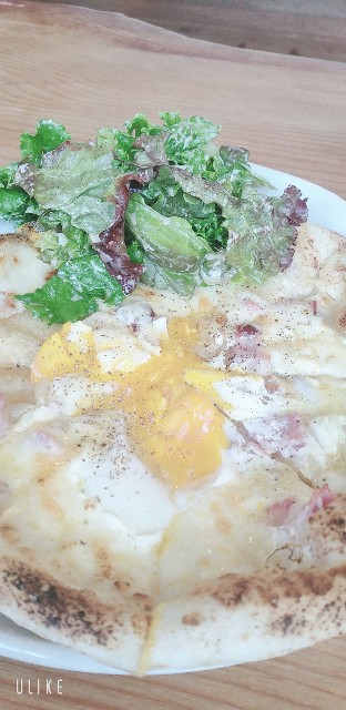 f:id:saburina2018:20220508161140j:image