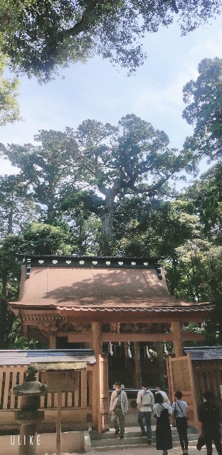 f:id:saburina2018:20220508161251j:image