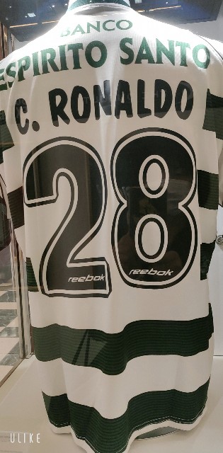 f:id:saburina2018:20221107181135j:image f:id:saburina2018:20221107181135j:image