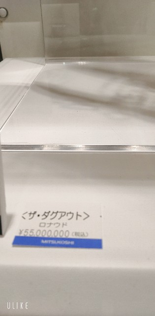 f:id:saburina2018:20221107181151j:image f:id:saburina2018:20221107181151j:image